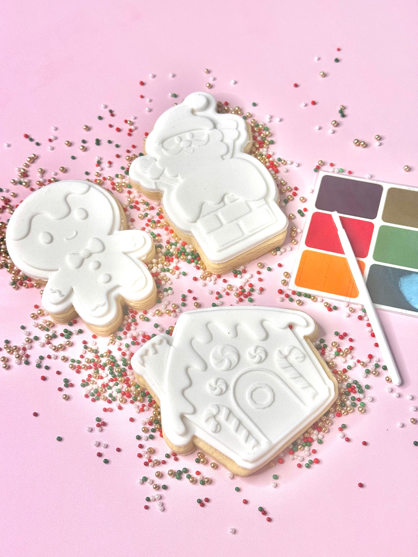 Paint & Sprinkle Christmas Cookie