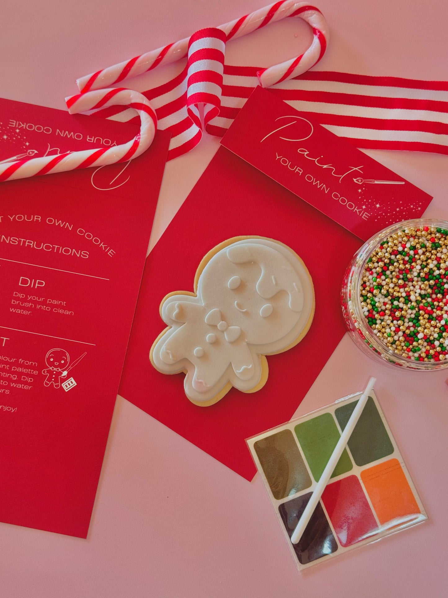 Paint & Sprinkle Christmas Cookie